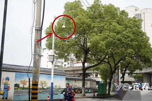 重磅│转发提醒 电子违停抓拍第四期来了 速速收藏