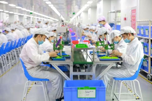 电子烟 悄然逼近的健康新威胁